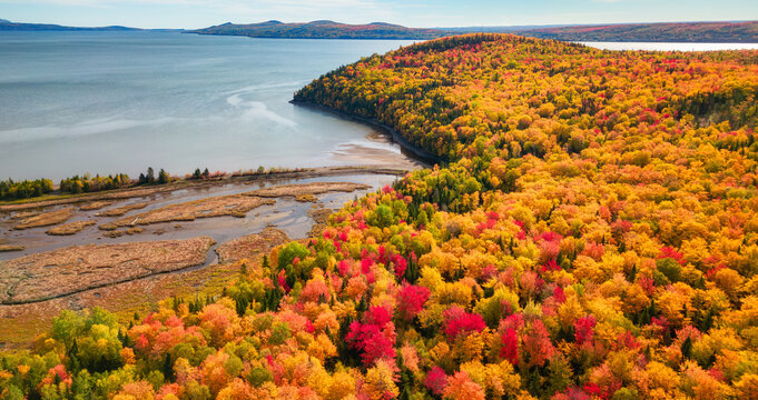 Vibrant trees and landscape on East Coast of Atlantic Ocean. Quebec, Canada