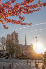 Paris, Notre Dame cathedral with spring trees in France - 762657613