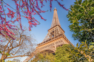 Eiffel Tower during spring time in Paris, France - 762658815