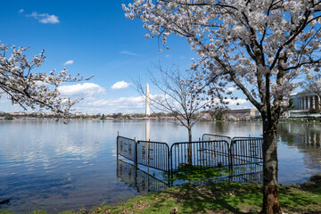 Tidal basin in flooded water. A new sea wall will be constructed to repair the area in Washington DC