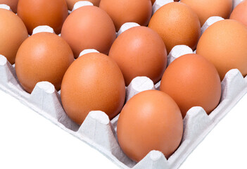 Eggs packing in carton box
