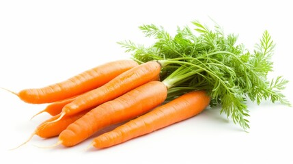 Bunch of fresh large carrots with thick green leaves on a white background