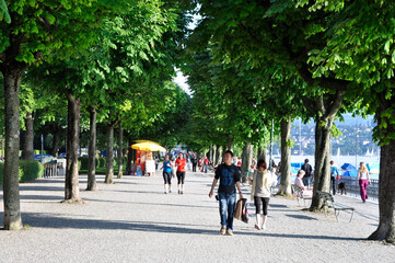 Fototapeta na wymiar Spaziergängeram Zürichseeufer unter den Platanen der Baumallee beim Utoiquai, predestrians walking at the boarder of lake Zürich under the tree-Allee