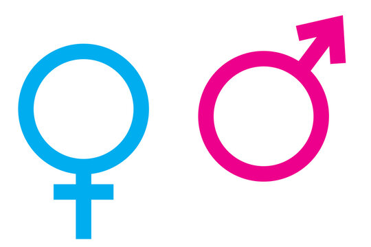 Male and female signs.  Gender symbols. Male, female sex sign gender equality icon vector illustration. Women and Men icon, Symbol.