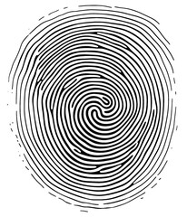 Fingerprint vector illustration isolated on transparent background. - 762679260