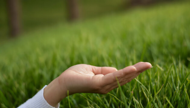 A person holding out their hand in the grass