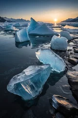 Tuinposter Melting icebergs and glaciers due to climate change © Sahaidachnyi Roman