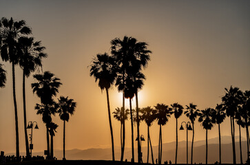 Obraz premium Sunset at Venice beach, Los Angeles California