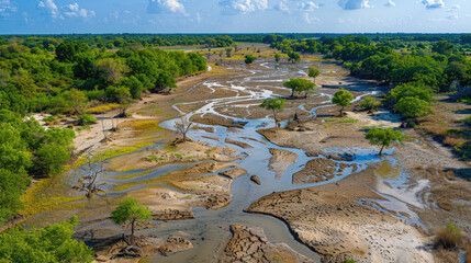 Illustration of Water Scarcity Perspective, news, illustration, image, article, newspaper