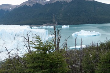 perito moreno glasier in southern ice field in patagonia
