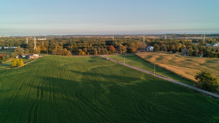 Fototapeta na wymiar An aerial drone shot of a soybean field on a farm at sunset