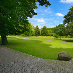 Summer park with green meadow