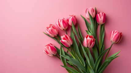 Vibrant Tulip Bouquet on Soft Pink