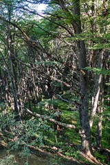 torres del paine national park in chilean patagonia
