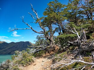Fototapeta na wymiar torres del paine national park in chilean patagonia