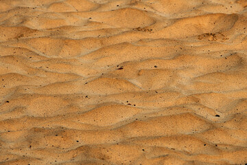 Texture of dirty sand surface as background