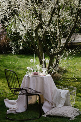 table and chairs in the garden