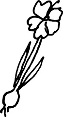 Garden tools hand drawn doodle illustration. Flower plant and roots 