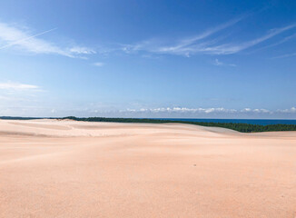 Polish desert nature dune in Poland