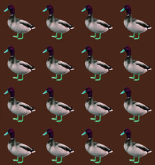set of ducks