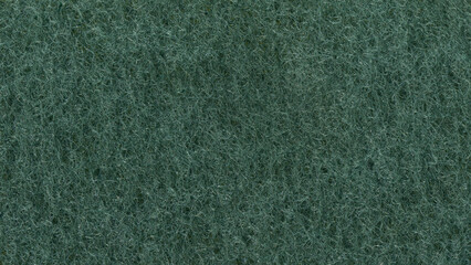 Green pattern on the surface of the natural material sponge. Abstract green fluffy background. 