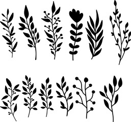 Set of hand drawn floral branches. Design element for decoration. Vector illustration - 762704034