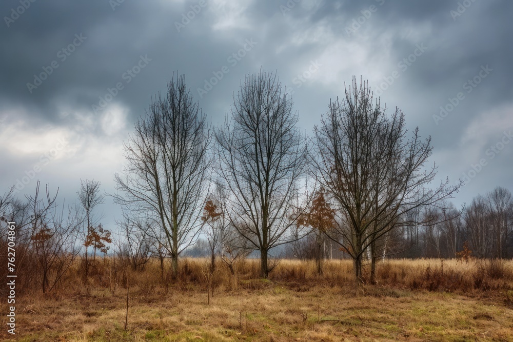 Poster three trees are standing in a field with a cloudy sky in the background. bare deciduous trees in aut