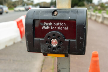 zebra passing green light press button