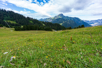 Montagne -paysage à abondances et environ - Chatel - France