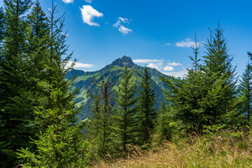 Jolie montagne  à Chatel pour passer les vacances en été et hiver
