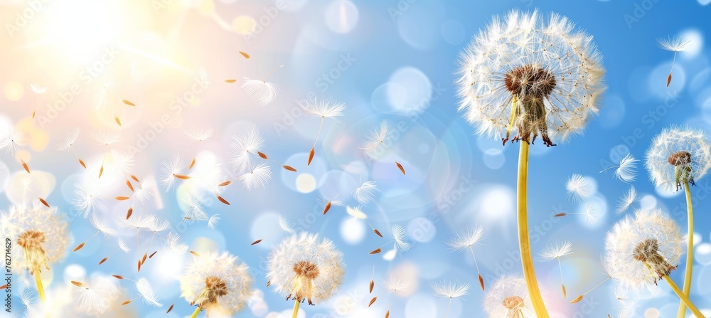 Poster macro shot of dandelion seed floating away in the wind with blank space for text overlay