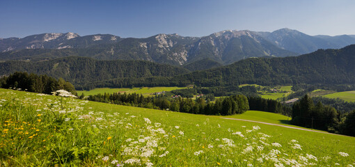 Sengsengebirge vom Tamberg, Hoher Nock, Windischgarsten, nördliche Kalkalpen,Oberösterreich, Österreich