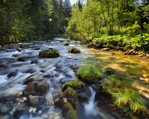 Fluss Steyr, Hintertambergau, Oberösterreich, Österreich