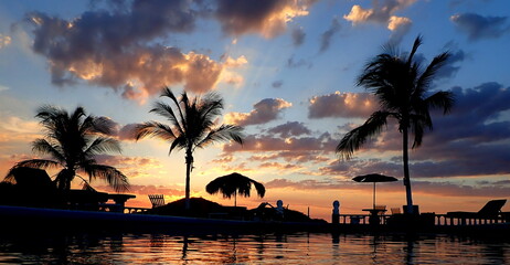 Costa Rica Pacific sea life