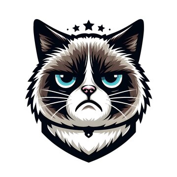 Grumpy cat vector design  white background.

