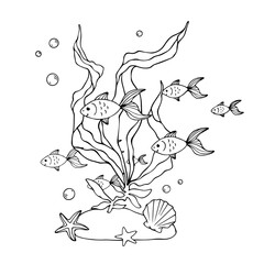 Sketch, doodles of algae with schools of fish. Vector graphics.