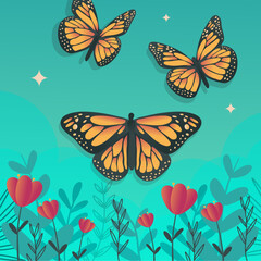 butterfly gradient background square