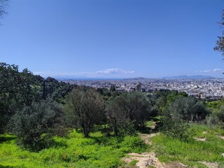 Naklejka premium Athens skyline with olive hill