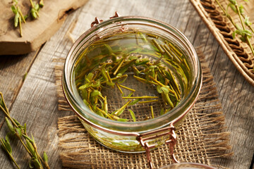Preparation of gemmotherapeutic herbal tincture from willow branches with bark and buds harvested in spring
