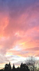 sunset over the field