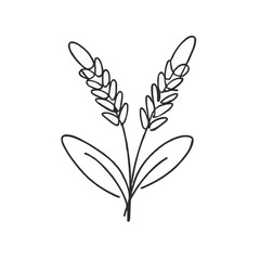 Adobe Illustrator Artwork of a drawing of a plant with leaves on it