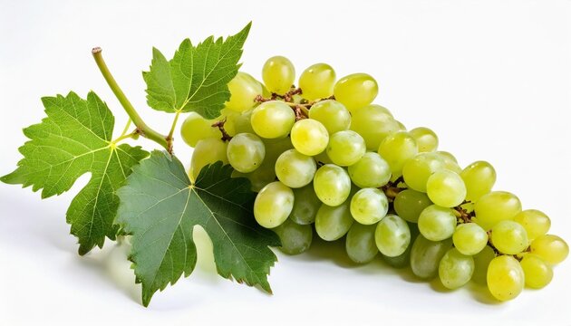 single green grapes bunch isolated on white background