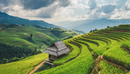 Fotobehang Mu Cang Chai top view of terrace rice field with old hut at countryside in mu cang chai near sapa city