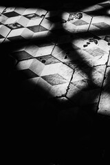 Vintage black and white diamond-shaped tile on a floor in an old cafe illuminated by yellow summer sunlight. Calm and mysterious summertime atmosphere. - 762757866