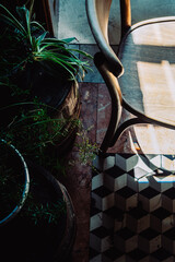 Vintage diamond-shaped tile on a floor in an old cafe illuminated by yellow summer sunlight and a wooden chair by the flowerpots. Calm and mysterious summertime atmosphere. - 762758019
