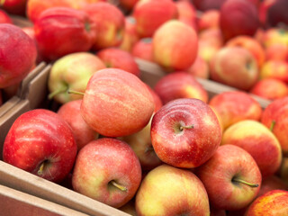 Organic apples in market