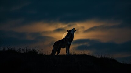 Dramatic Lone Wolf Howling at Moon Silhouette