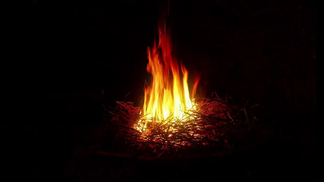 Short footage of simple bonfire at the evening time