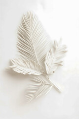 palm fan leaf on background palm leaf white color background high key