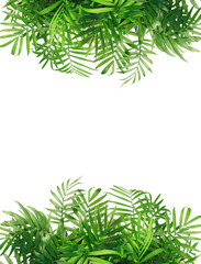 Fototapeta premium A cluster of vibrant green leaves on a blank canvas creates a serene plantfilled landscape. The branches and twigs form a beautiful larch tree, adding to the lushness of the terrestrial plant